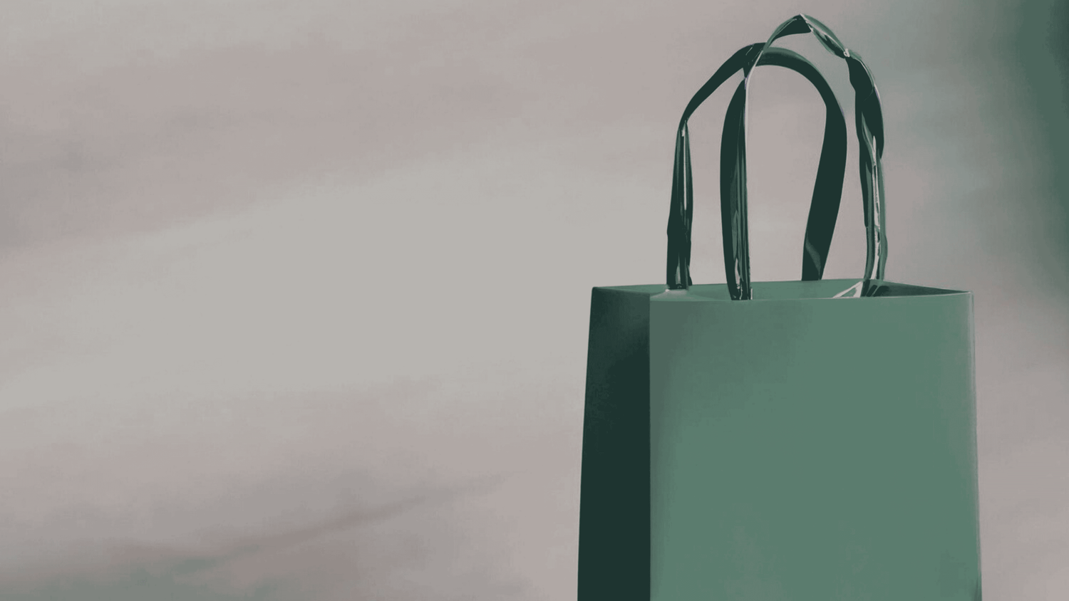 Takeaway Bag